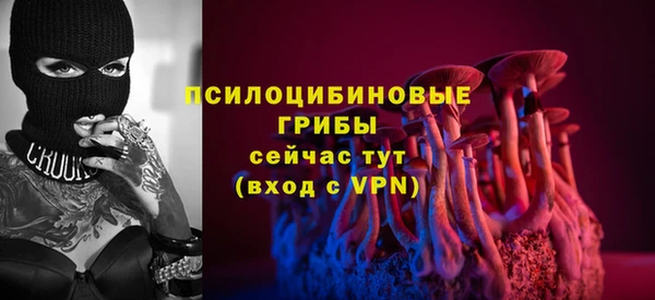 apvp Коряжма