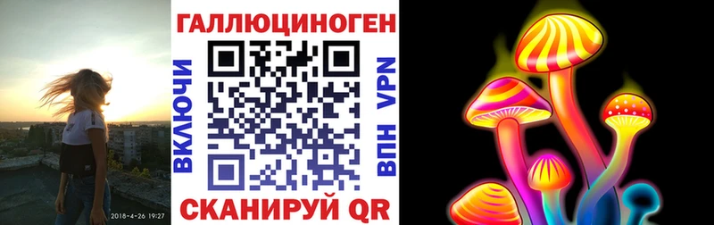 Галлюциногенные грибы мицелий  Купить  Курганинск 